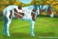 Horse Color:Thunderstruck Brown Sabino Tobiano 