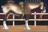 Horse Color:Liver Red Onyx Mushroom Sabino Varnish 