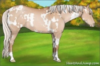 Horse Color:White Spotted Silver Bay Pearl