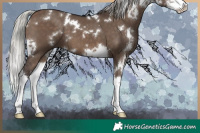 Horse Color:White Spotted Silver Brown Dun Sabino Splash 