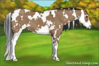 Horse Color:White Spotted Bay Dun Splash Frame 