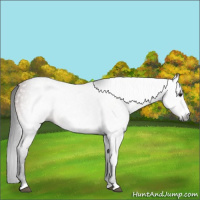 Horse Color:Gray Brown Frame 