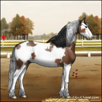 Horse Color:White Spotted Bay Splash Frame