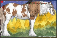 Horse Color:White Spotted Chestnut Splash