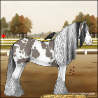 Horse Color:White Spotted Grullo Splash 