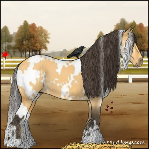 Horse Color:White Spotted Buckskin Dun 
