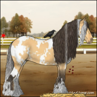 Horse Color:White Spotted Buckskin Dun 