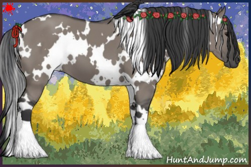 Horse Color:White Spotted Grullo