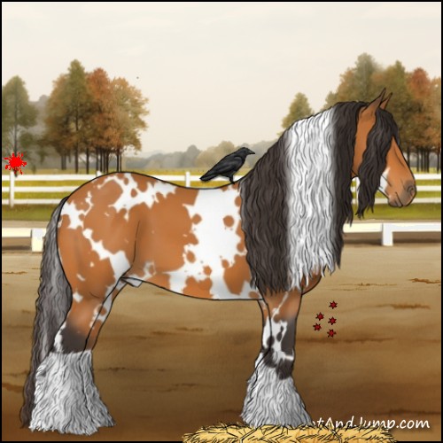 Horse Color:White Spotted Buckskin