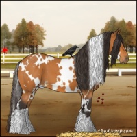 Horse Color:White Spotted Buckskin