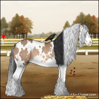Horse Color:White Spotted Bay Dun Splash Rabicano 