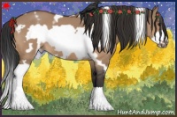 Horse Color:White Spotted Bay Dun Frame 