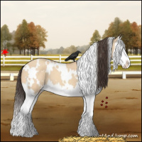 Horse Color:White Spotted Amber Champagne Dun Splash 