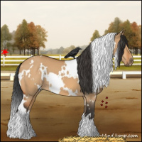 Horse Color:White Spotted Bay Dun