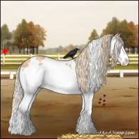Horse Color:White Spotted Gold Champagne Sabino Splash Varnish