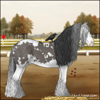 Horse Color:White Spotted Grullo Sabino Splash
