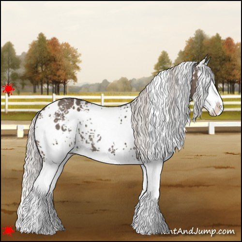 Horse Color:White Spotted Silver Black Splash 