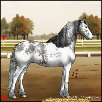 Horse Color:White Spotted Grullo 