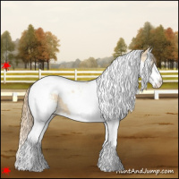 Horse Color:White Spotted Buckskin Pearl Splash Tobiano