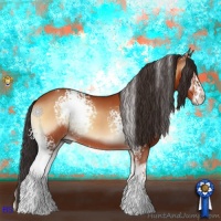 Horse Color:White Spotted Bay Onyx 