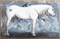 Horse Color:Gray White Spotted Black 