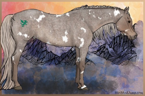 Horse Color:White Spotted Silver Blue Roan 