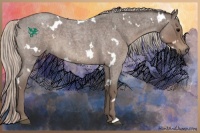 Horse Color:White Spotted Silver Blue Roan 