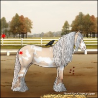 Horse Color:White Spotted Silver Amber Champagne Dun Frame