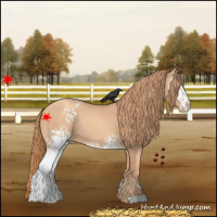 Horse Color:White Spotted Gold Champagne Rabicano