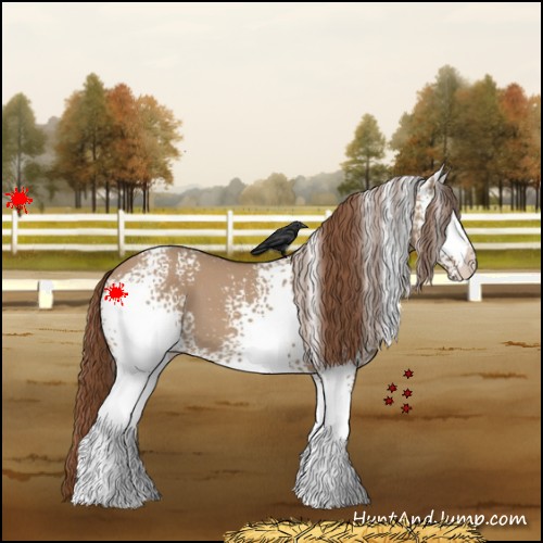 Horse Color:White Spotted Red Dun 
