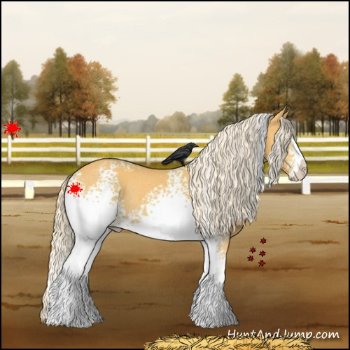 Horse Color:White Spotted Palomino Rabicano