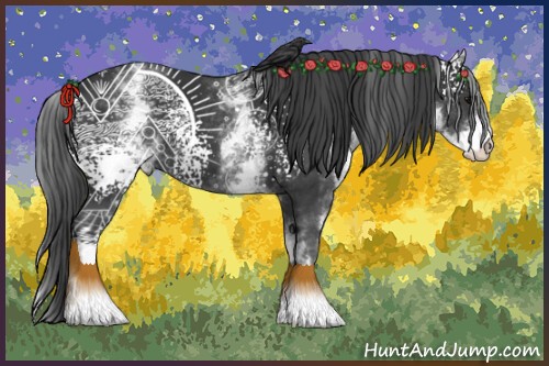 Horse Color:White Spotted Black
