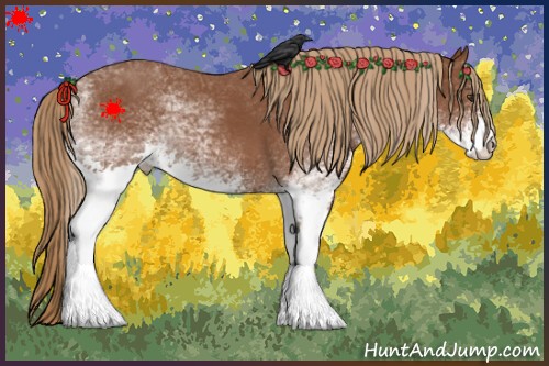 Horse Color:White Spotted Chestnut