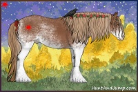 Horse Color:White Spotted Chestnut 