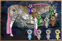 Horse Color:Painted Red Onyx Ice Sabino Splash