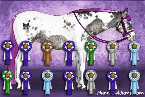 Horse Color:Painted Blue Onyx Ice Sabino Splash Tobiano Appaloosa Rabicano 