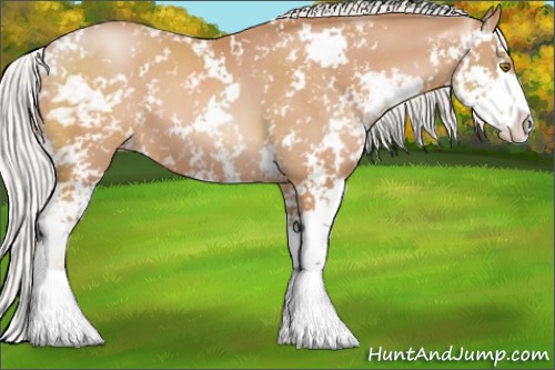 Horse Color:Silver Bay Pearl Sabino 