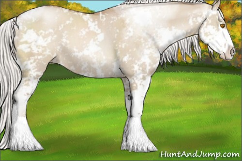 Horse Color:Silver Grullo Pearl Sabino 