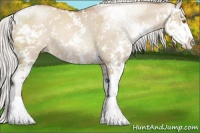 Horse Color:Silver Grullo Pearl Sabino