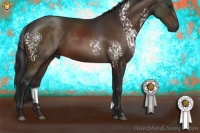 Horse Color:White Spotted Brown 