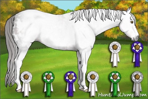 Horse Color:Gray White Spotted Liver Chestnut Rabicano 