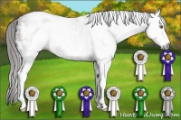 Horse Color:Gray White Spotted Liver Chestnut Rabicano 