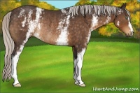 Horse Color:White Spotted Silver Buckskin Rabicano 