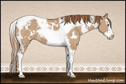 Horse Color:White Spotted Red Dun Splash Tobiano 