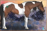 Horse Color:Bay Roan Tobiano 