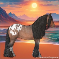 Horse Color:Bay Roan Appaloosa 
