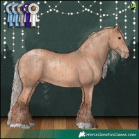 Horse Color:Silver Grullo Sabino Tobiano Brindle and Gold Champagne