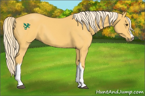 Horse Color:Palomino