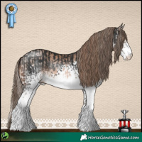 Horse Color:Brown Pearl Splash  and White Spotted Liver Chestnut 
