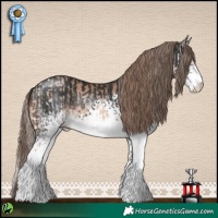 Horse Color:Brown Pearl Splash and White Spotted Liver Chestnut